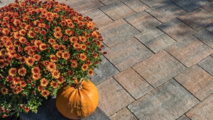 CSB CORTILA 8 Naturcolor Coral antiko relief CP Plus (paleta 8,4 m² / vrstva 1,2 m²)