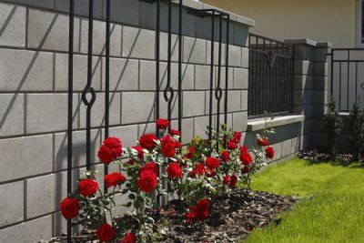 BEST Luneta I - 20 cm - Přírodní