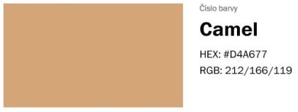 Baumit Baumacol PremiumFuge 5 kg camel