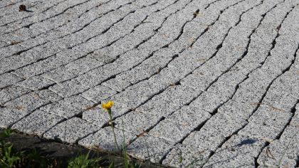 CSB DLAŽBA GRANITO skladba 117 kamenů 6 cm Šedá (paleta 9,5472 m² / vrstva 0,7956 m²)