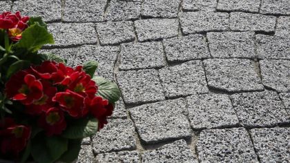 CSB DLAŽBA GRANITO skladba 117 kamenů 6 cm Šedá (paleta 9,5472 m² / vrstva 0,7956 m²)