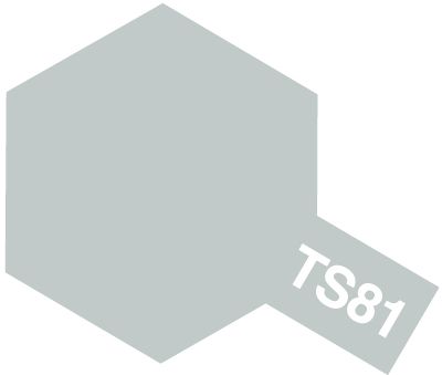 TS81 Royal Light Gray