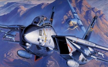 AC1679 F-14A TOMCAT  12471