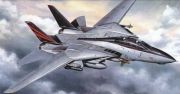 TA60313 F-14A Tomcat Black Knights