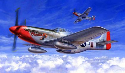 TA60322 North American P-51D Mustang