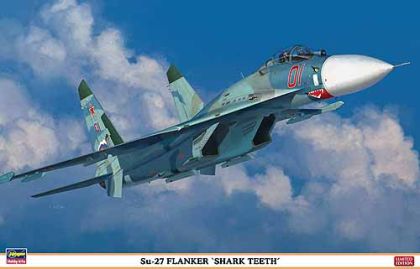 HAS01995  Su-27 Flanker Shark Teeth