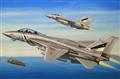 HB0278  F-14D Super TomCat