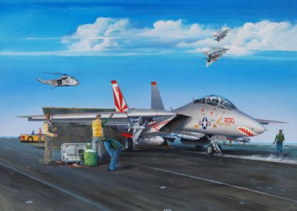 TR3201 F-14A Tomcat