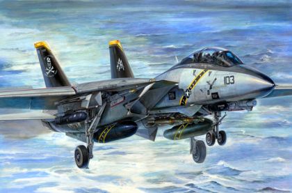 TR3202 F-14B Tomcat Bombcat