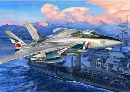 TR3203 F-14D Super Tomcat