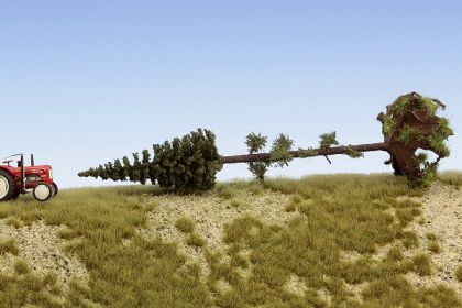 SK153 Smrek vyvrátený 140-160 mm