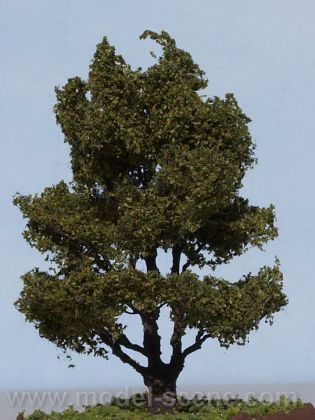 OL052 Olša dvojitá 45-60 mm