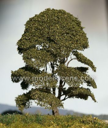 KA080 Gaštan SUPERFINE 70-85 mm