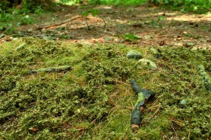 F601 Lesný základ, jarný