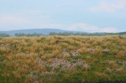 F610 Lesný základ, borovicový les