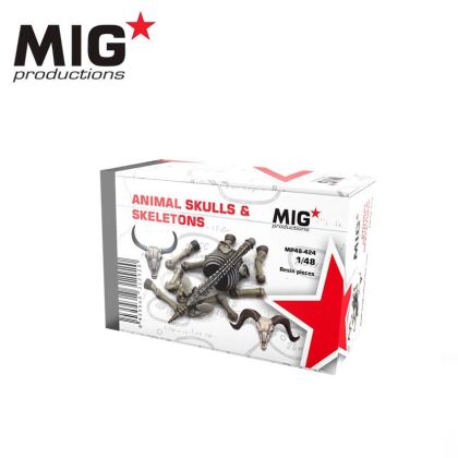 1:48 ANIMAL SKULLS & SKELETONS