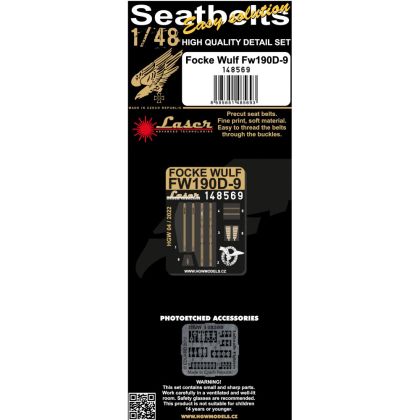 1:48 FOCKE WULF FW190D-9 - PÁSY
