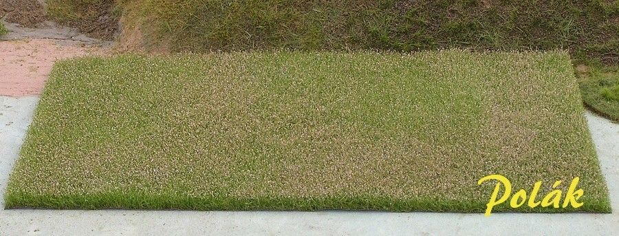 Vojtěška kvetoucí 34,5x19,5 cm