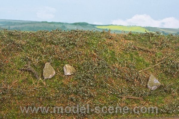 Lesní základ - časné léto - 18x28 cm