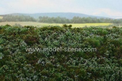 Lesní základ - borůvkoviště - 18x28cm