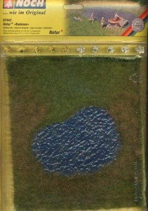 Přírodní jezírko s travou