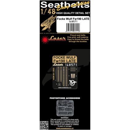 1:48 FOCKE WULF FW190 LATE - PÁSY