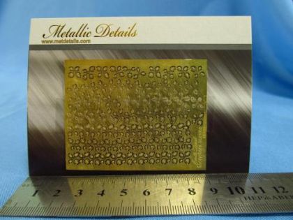 1:35 Monstera leaves (flora)