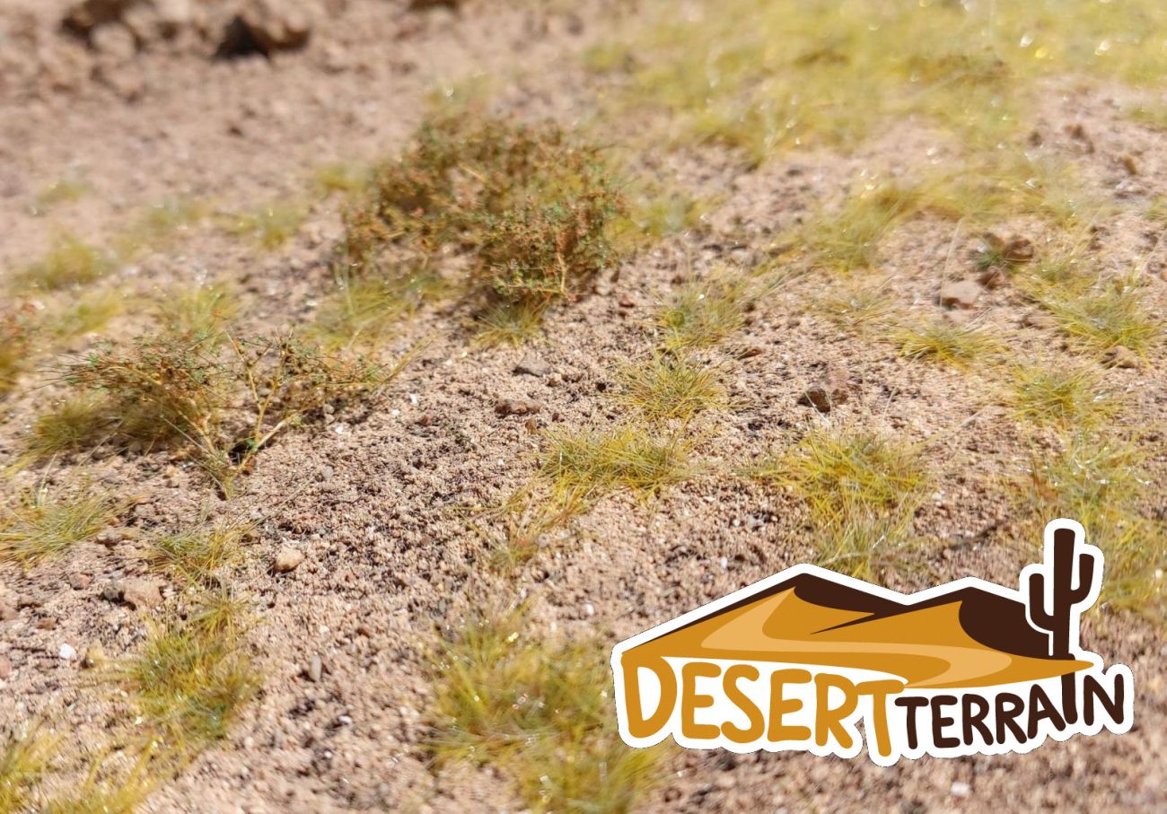 Severní Afrika kamenitý terén