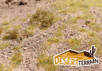 Severní Afrika kamenitý terén