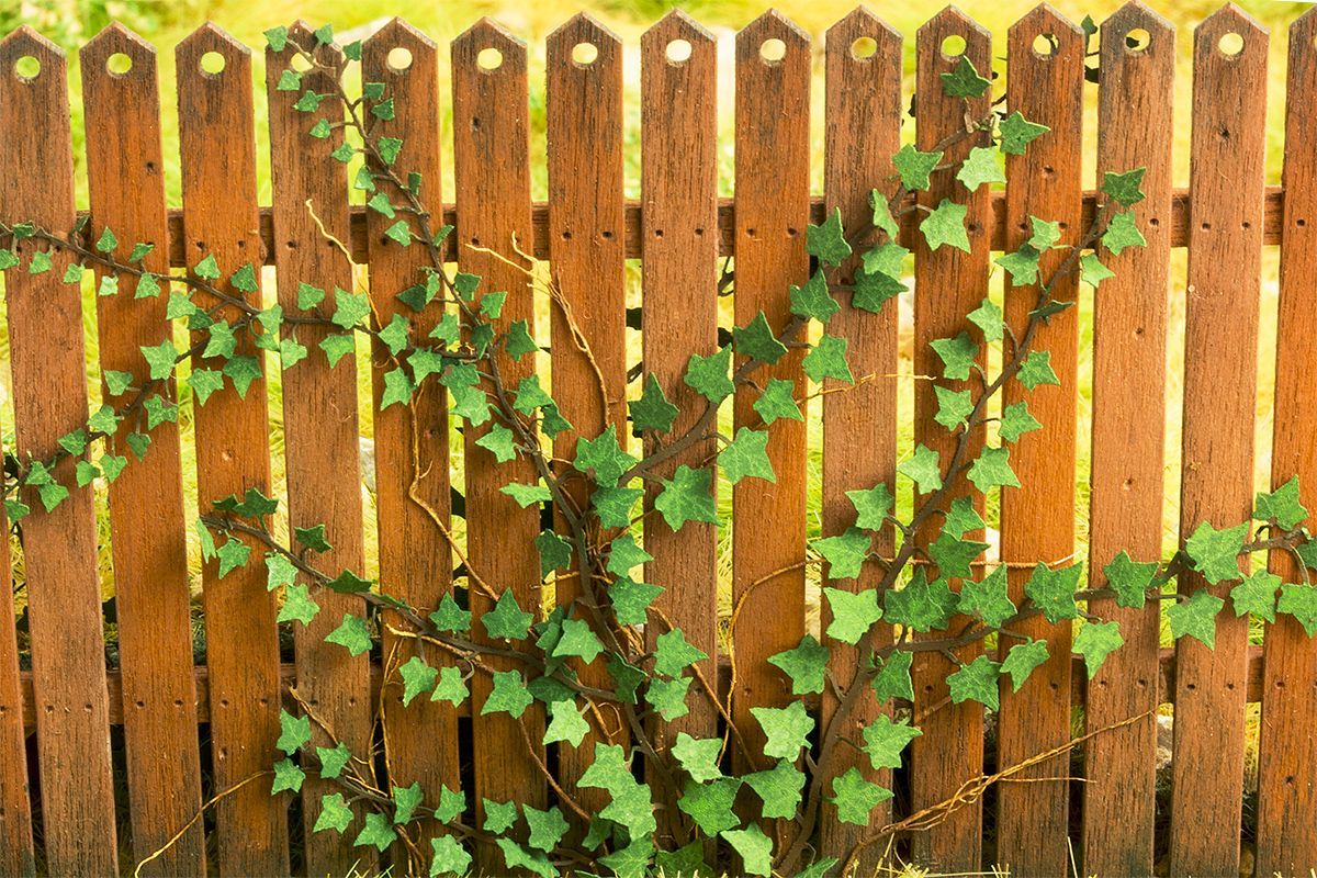 Břečťan 1:45 / 1:48 / 1:56