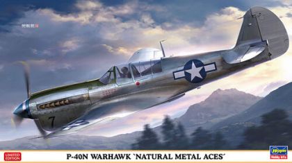 1:48 P-40N Warhawk 'Natural Metal Aces'
