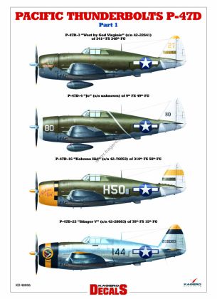 1:48 Republic P-47 Thunderbolt D