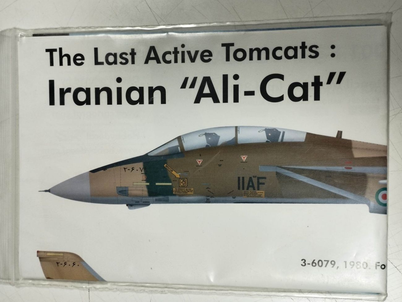 1:48 The last active Tomcat Iranian Ali-Cat