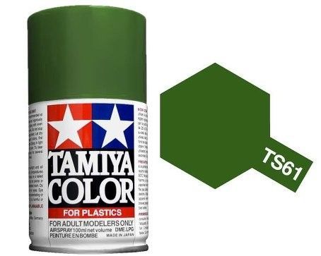 TS-61 NATO Green 100ml