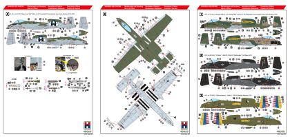 1:48 A-10C Thunderbolt II Special Schemes