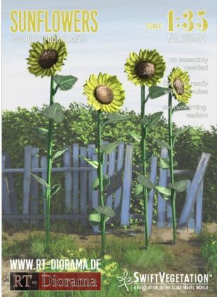 1:35 Sunflowers
