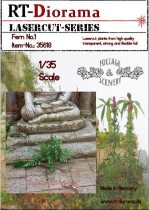 1:35 Fern No.1