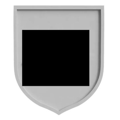 34th SS Volunteer Grenadier Division 'Landstorm Nederland' Plaque 25mm