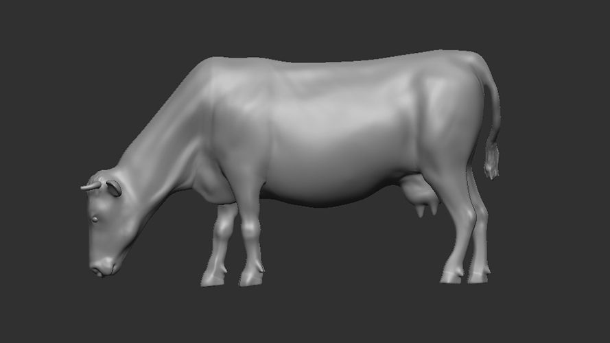 1:35 A cow in the pasture