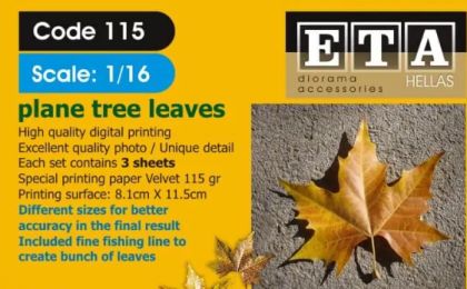 1:16 Plane Tree Leaves