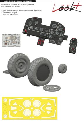 1:48 P-47D-30 Thunderbolt LooKplus