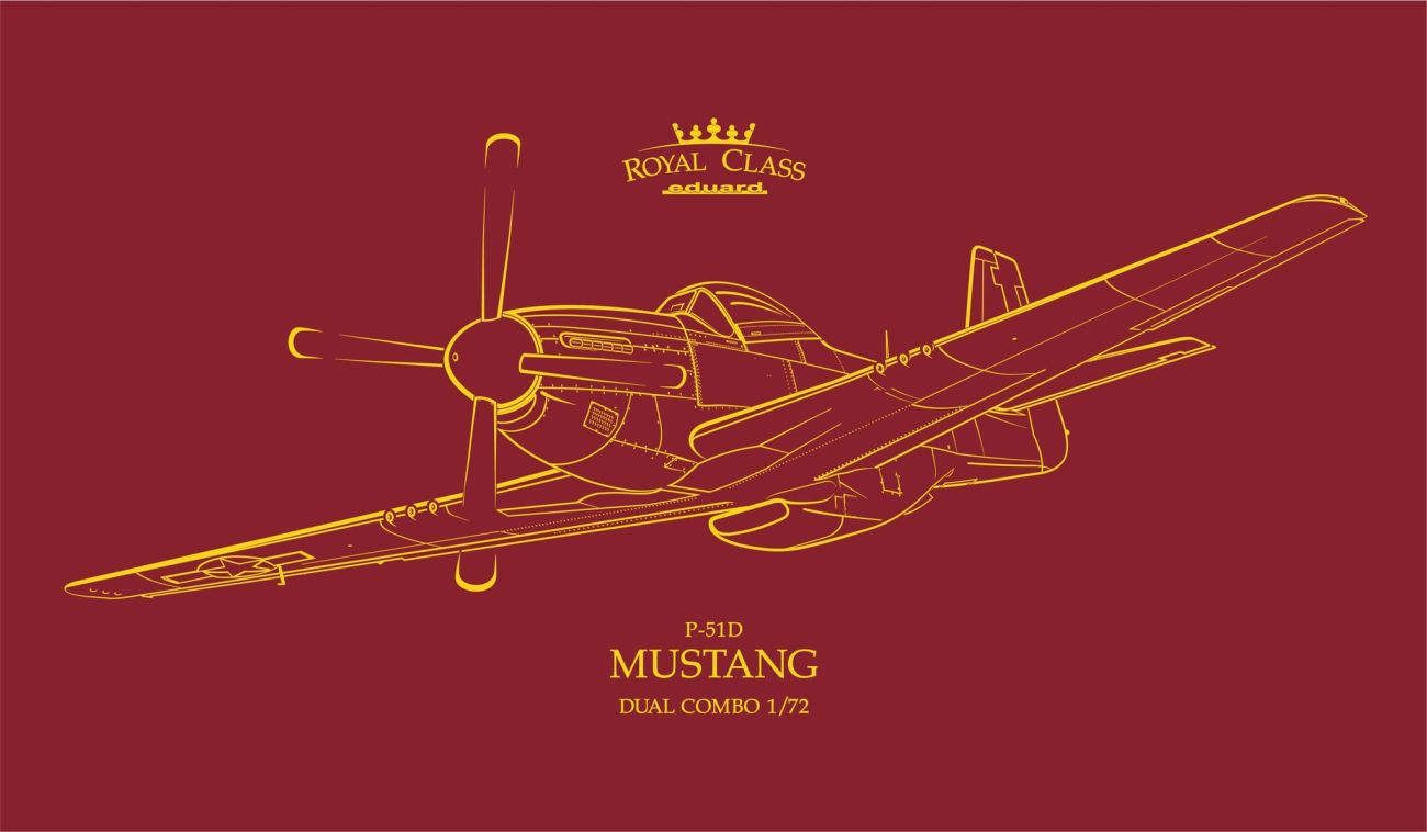 1:72 P-51D MUSTANG DUAL COMBO