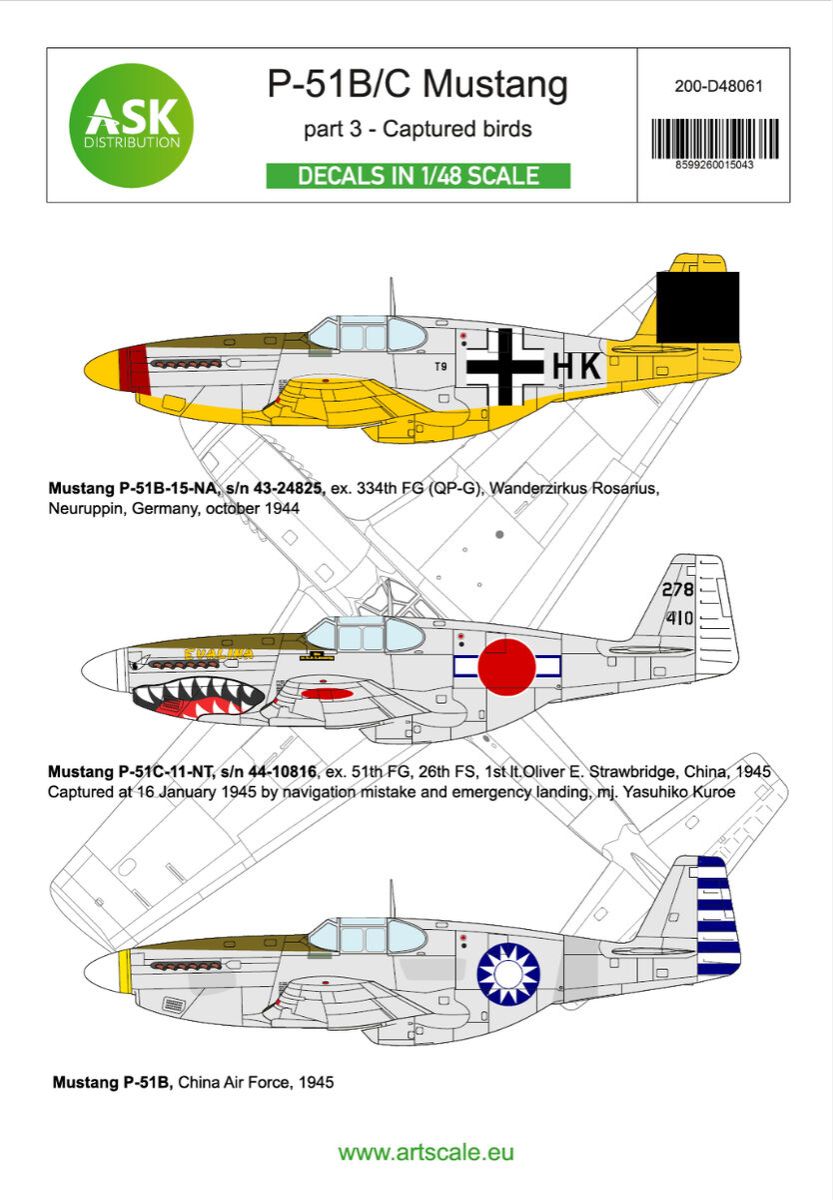 1:48 P-51B/C Mustang part 3 - Captured birds