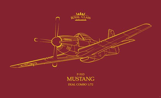 1:72 P-51D MUSTANG DUAL COMBO