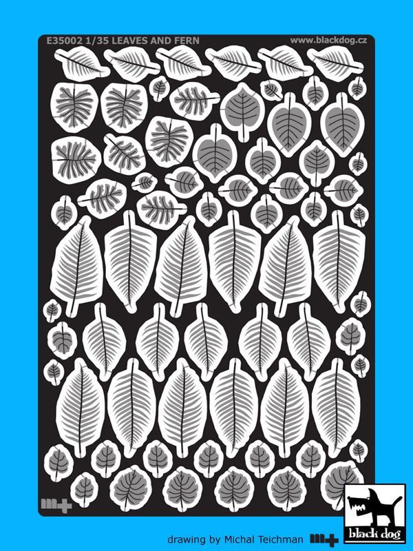 1:35Leaves and fern
