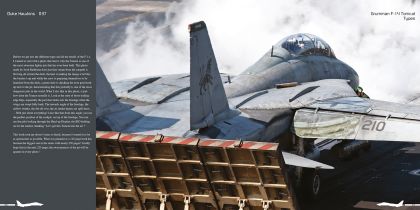 Duke Hawkins: F-14 Tomcat book, EN