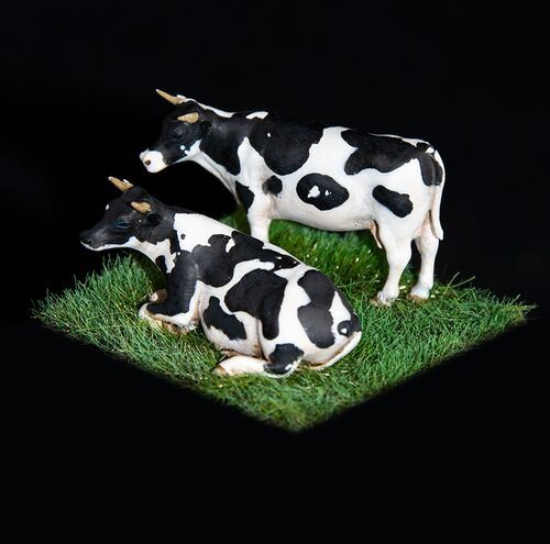 1:72 Cows