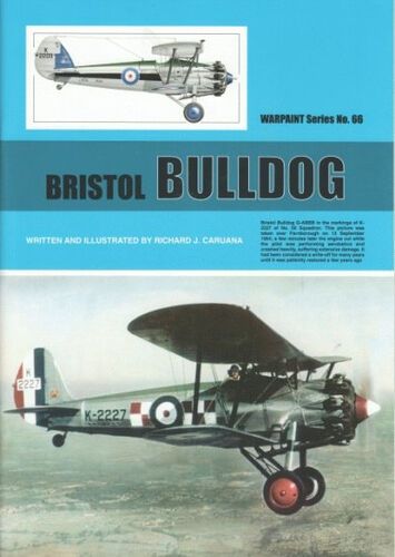  Bristol Bulldog by Ricard J Caruana