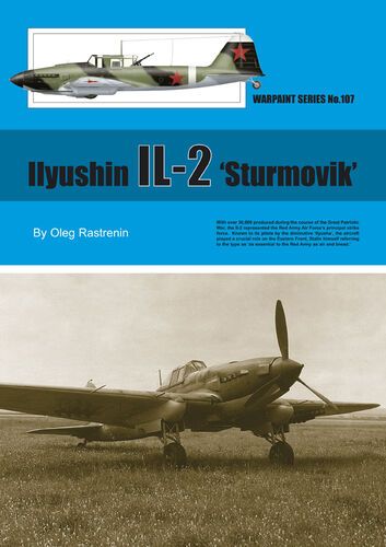 Ilyushin IL-2 'Sturmovik' by  Oleg Rastrenin 
