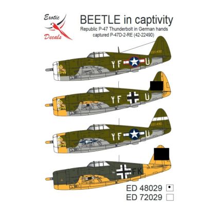 1:48 Beetle in Captivity - Republic P-47 Thundebolt in German Hands